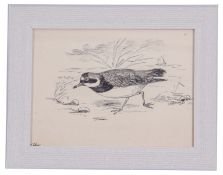 A H Patterson (British, 19th century), A common ringed plover, Breydon, Great Yarmouth, pencil,