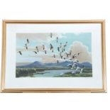 Peter Markham Scott (British 20th Century), Snow Geese, California, Coloured lithograph, signed in