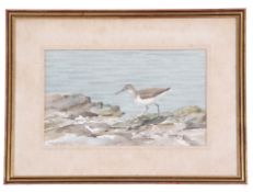 Peter Merrin (British, 20th century), A Sandpiper along the shoreline, watercolour, signed, 7 x