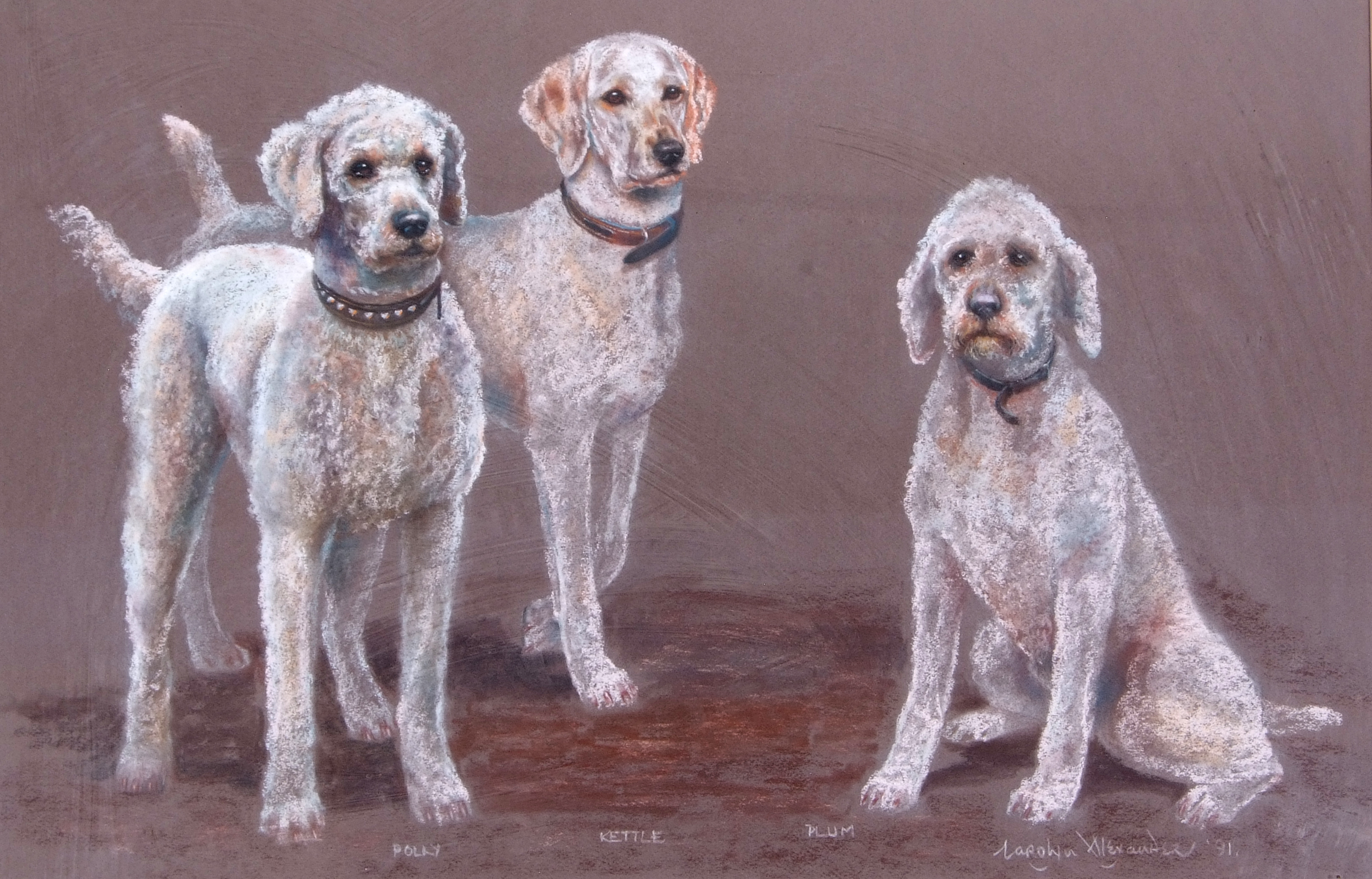 A portrait of three dogs named Polly, Kettle and Plum, charcoal on black card, signed by Carolyn - Image 2 of 2