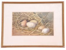 British School, 20th Century, Egg, Still Life , Watercolour, indistinctly signed, approx 7x12in