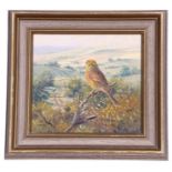 Richard Tratt (British, contemporary), a Yellowhammer overlooking farmland, oil on board, signed,