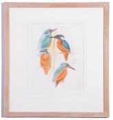 Keith Brockie (British 20th Century), A study of a Kingfisher various dispositions, Watercolour,