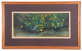Michael Mogg (British 20th Century), ‘Wagtail & Kingcups’, Gouache, signed , approx 9x21in
