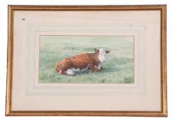 M Webb (British, 20th century), A portrait of a prized Hereford, watercolour, signed, 1982, 5 x