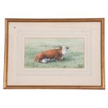 M Webb (British, 20th century), A portrait of a prized Hereford, watercolour, signed, 1982, 5 x