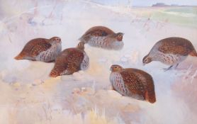 Frank Southgate (British, 19th century), A bevy of English Grey Partridges, watercolour, signed,