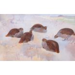 Frank Southgate (British, 19th century), A bevy of English Grey Partridges, watercolour, signed,