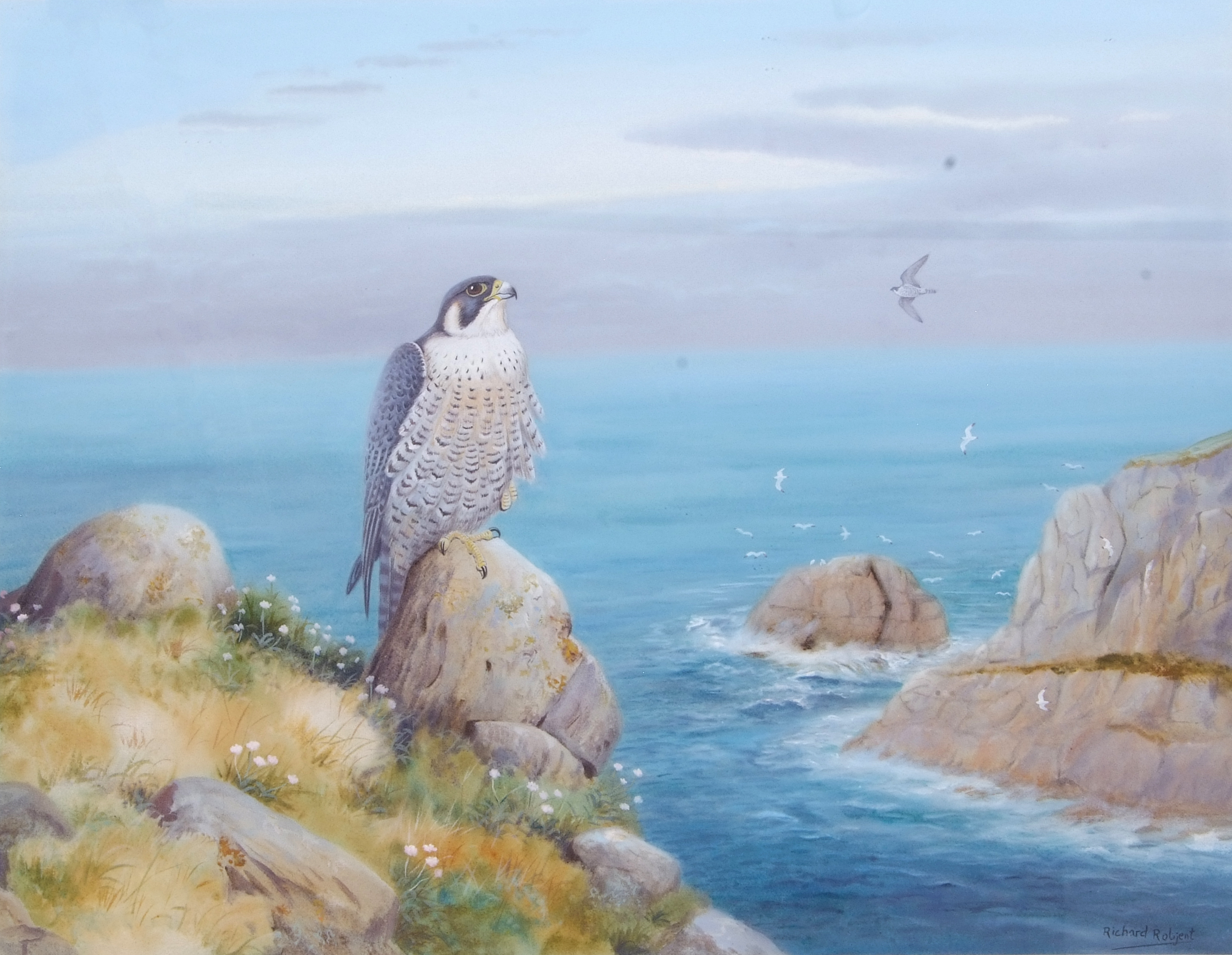 Richard Robjent (British 20C), Peregrine Falcon perched on a sea cliff, watercolour heightened - Image 2 of 2