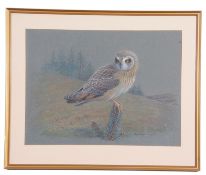 Donald Watson (British 20th Century), Study of an Owl perched on a Sitka spruce , Mixed media,
