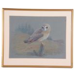 Donald Watson (British 20th Century), Study of an Owl perched on a Sitka spruce , Mixed media,