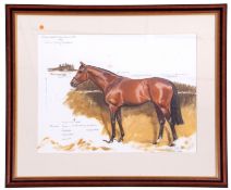 Michael Jeffery (New Zealand /British 20C), German Thoroughbred racehorse 'Shirocco', Oil, pencil