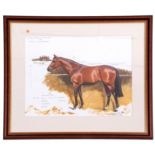 Michael Jeffery (New Zealand /British 20C), German Thoroughbred racehorse 'Shirocco', Oil, pencil