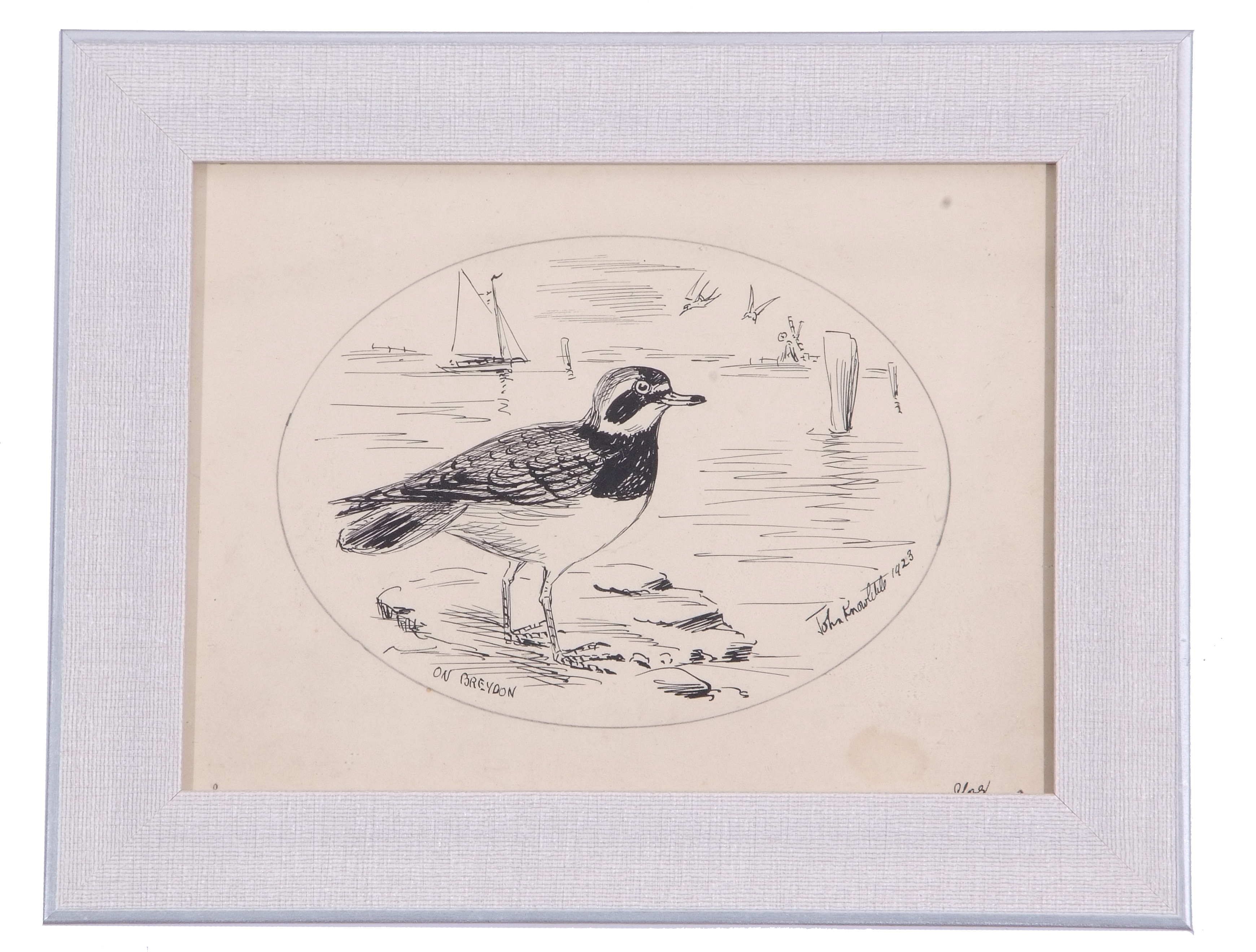 A H Patterson (British, 19th century), A study of a common ringed plover, pencil, pen on paper,