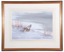 Richard Robjent (British 20th Century), Pin Tailed Ducks in Winter , Watercolour, signed, 1985,