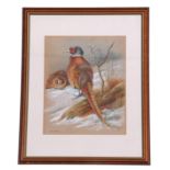 G T C Kirby, (British, 20th century), A cock and hen Pheasant in winter, watercolour, signed, 13 x
