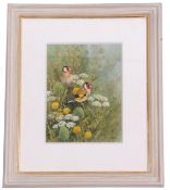 Neil Cox (British, contemporary), A brace of Goldfinches next to wildflowers, watercolour, signed,