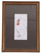 Edwin Penny (British, 20th century), A Meleagridae posturing, pencil, wash, signed, 10 x 5ins