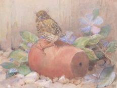 Winifred Austen (British, 19th century), A Young Robin, watercolour, signed, 11 x 11ins