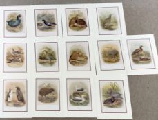 J G Keulemans (Dutch 19th Century) Various ornithological prints, mainly birds of New Zealand (x12),