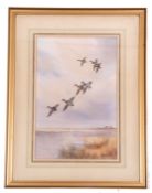 Roland Green (British, 20th century), Mallards on the wing, watercolour laid on paper, signed, 17