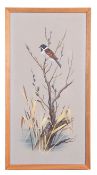 Paul Alexander Nicholas (British, 20th Century), Reed Bunting on a willow branch and similar pair of