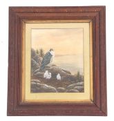 British 20th Century, Peregrine Falcon with eyases, Watercolour, indistinctly signed , approx