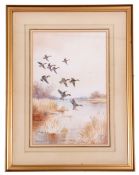Roland Green (British 20C), A coil of Teal in flight,Watercolour laid on paper, signed, 17 x 12ins