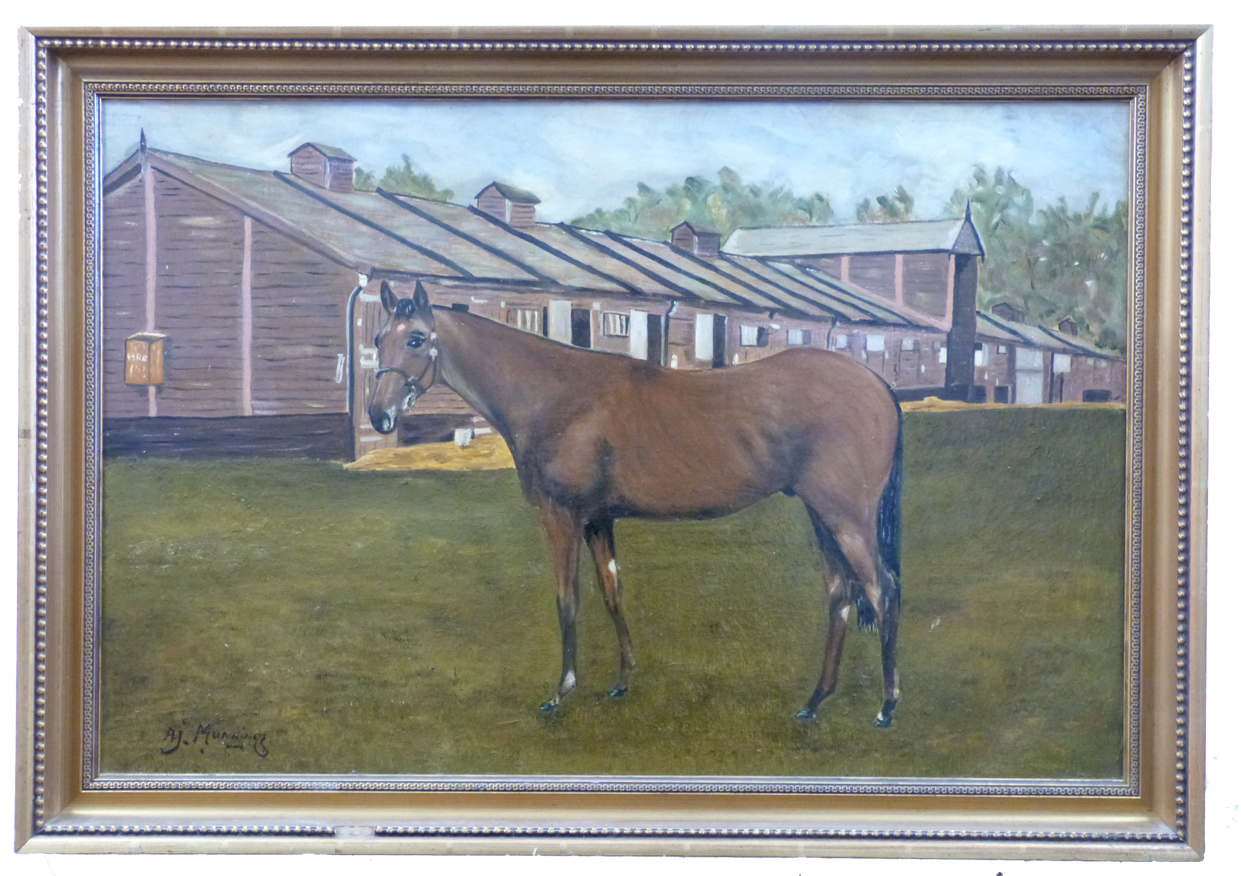 British, Late 20th Century' A yearling, Park Paddocks, Newmarket, oil on canvas, 19 x 29ins
