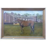 British, Late 20th Century' A yearling, Park Paddocks, Newmarket, oil on canvas, 19 x 29ins
