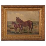 British, Late 20th Century, Mare and Foal, oil on canvas, 10 x 14ins