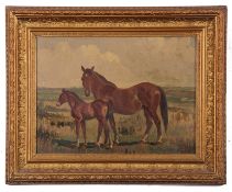 British, Late 20th Century, Mare and Foal, oil on canvas, 10 x 14ins