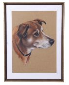Peter J. Rowles Chapman (British 20th Century), Head of a dog, watercolour, signed, 13 x 17ins