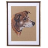 Peter J. Rowles Chapman (British 20th Century), Head of a dog, watercolour, signed, 13 x 17ins