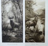 Pair of Highland prints 'Monarch of the Glen' and 'On alert', lithographs (sepia) on paper, approx