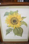 ELIZABETH CAMERON, LTD ED PRINT, SUNFLOWER, SIGNED IN PENCIL, FRAMED, 76CM HIGH