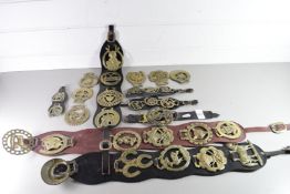 QTY OF HORSE BRASSES ON LEATHER