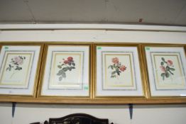 SET OF FOUR COLOURED PRINTS OF ROSES, GILT FRAMED AND GLAZED