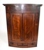 19th century mahogany corner cabinet of large proportions, the bow front body with two panelled