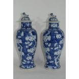 Pair of 19th century Chinese porcelain vases and covers