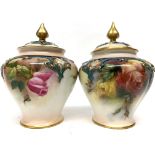 Pair of late 19th century Hadleigh Worcester vases a