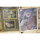 TWO FRAMED PHOTOGRAPHS OF OWLS