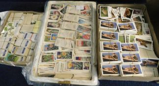 Three boxes: good quantity three duplicated sets of trade cards, Brooke Bond 1966 Trees in