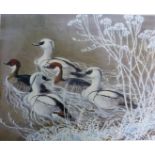 CHARLES FREDERICK TUNNICLIFFE: coloured print ducks, limited edition of 500, numbered (238) and