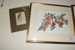 BRIDGET GRAHAM-CLOETE, STUDY OF RED PLUMS, WATERCOLOUR, INITIALLED LOWER LEFT, F/G