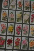 WILLS CIGARETTES, TWO FRAMED GROUPS OF CARDS, DEPICTING ROSE VARIETIES