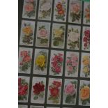 WILLS CIGARETTES, TWO FRAMED GROUPS OF CARDS, DEPICTING ROSE VARIETIES