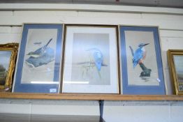 REX FLOOD, STUDY OF A WAGTAIL AND A KINGFISHER, PLUS A FURTHER LIMITED EDITION PRINT BY THE SAME