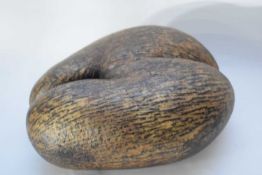 Coco-de-mer nut