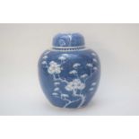 Chinese ginger jar and cover, the blue background with prunus design